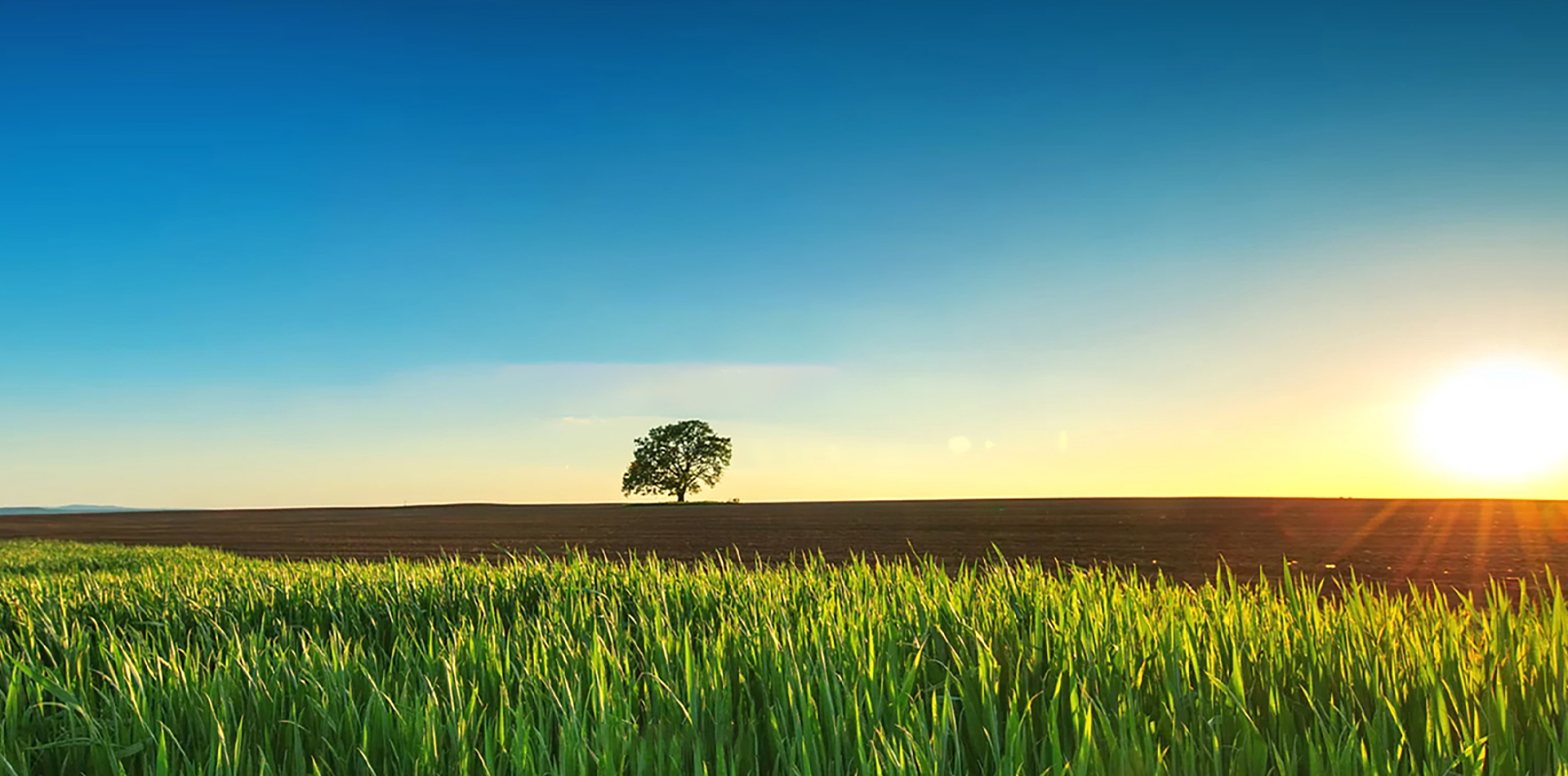 企业数字化门户系统