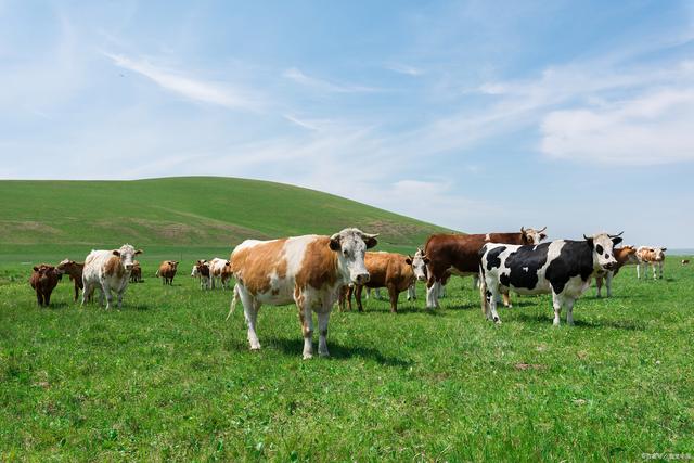 春季管理：抓防疫、防霉变、促保健